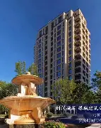 包含绿城集团主席现场观战，鼓舞球队士气的词条