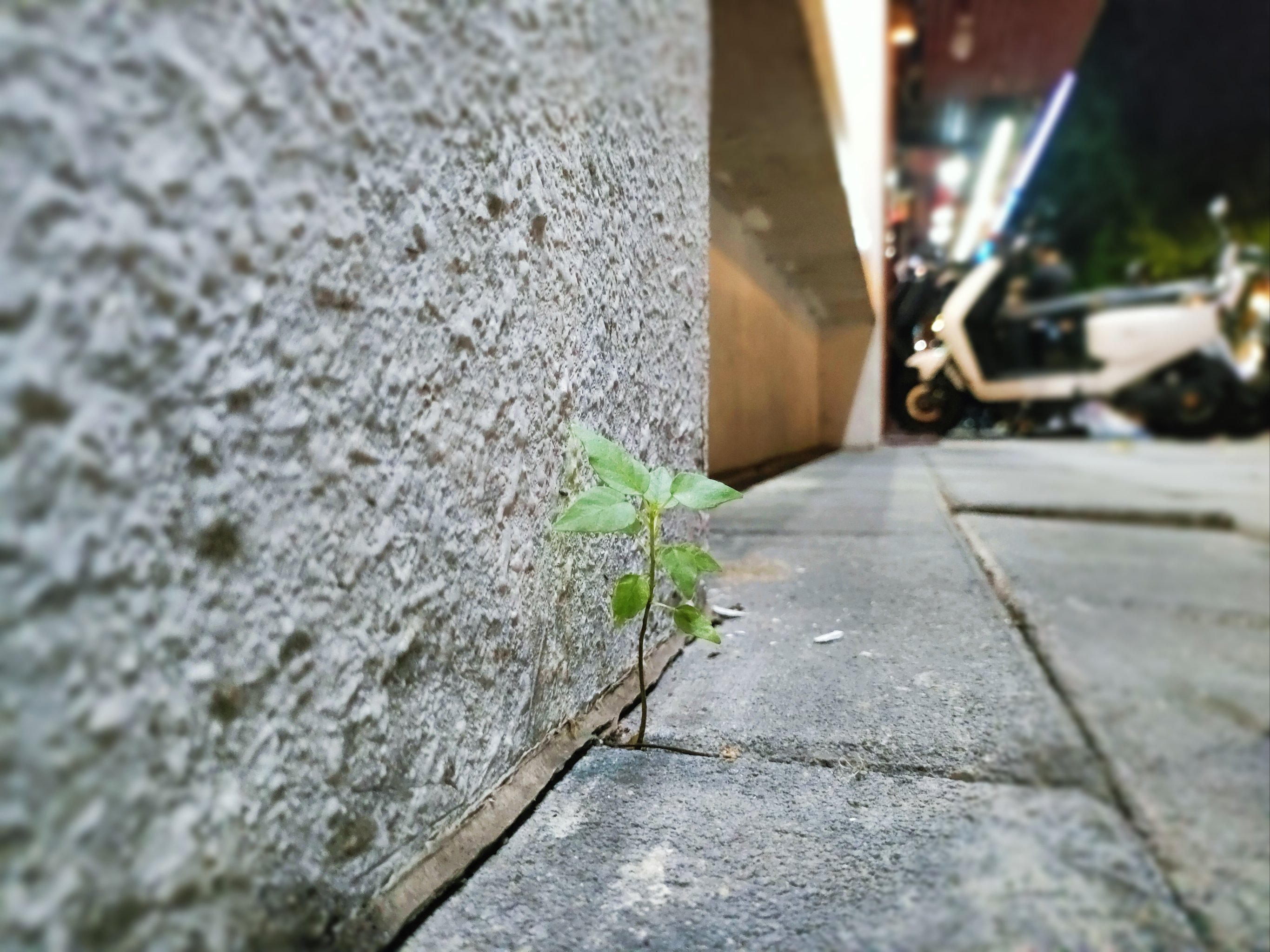 绝处逢生，意外逆袭夺得佳绩的简单介绍